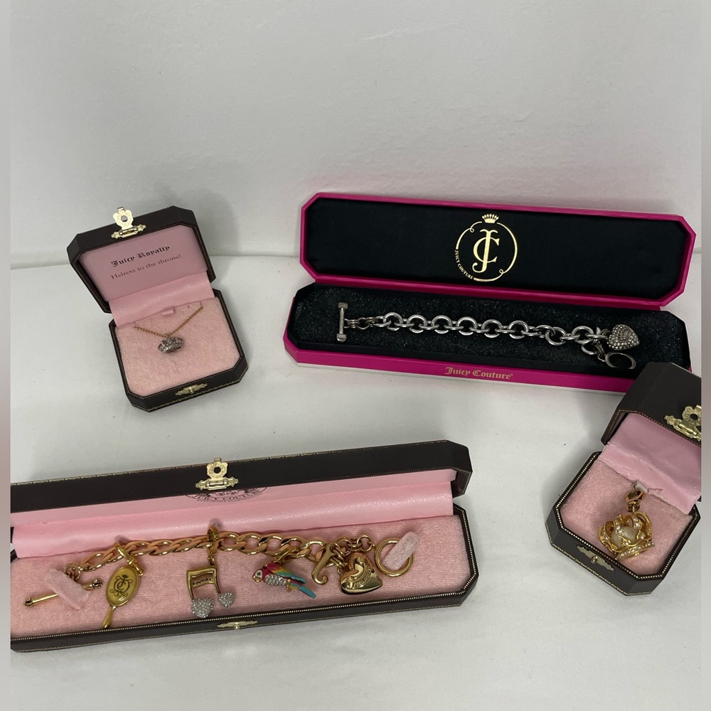 Juicy Bundle! Charm bracelets charm and  necklace